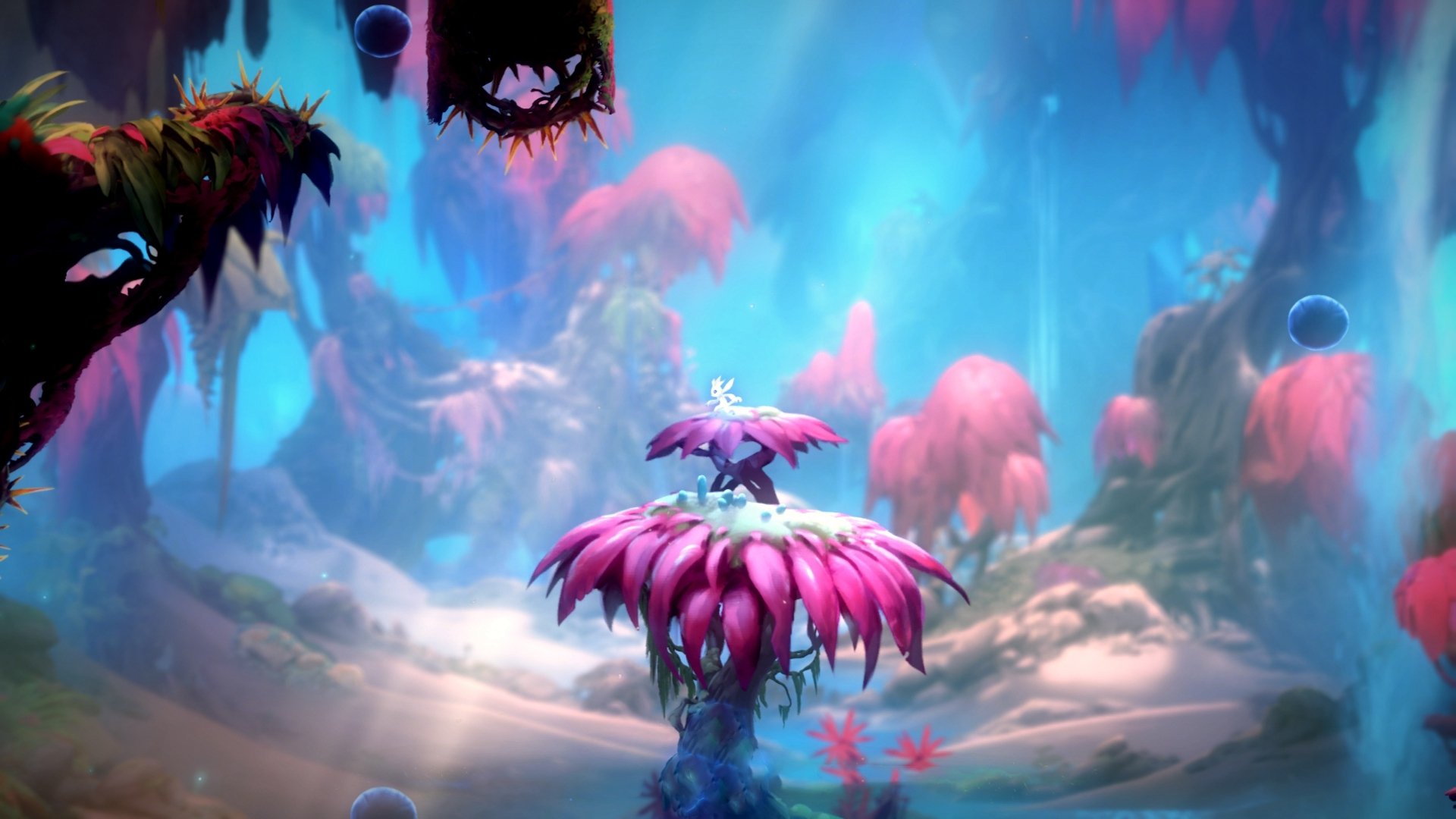 CBA联赛明日开幕,球迷翘首以盼,cba联赛明日开幕,球迷翘首以盼