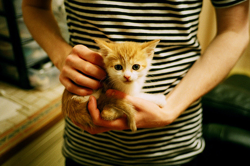 “逆转之战:经典逆袭瞬间震撼全场”,电影逆转