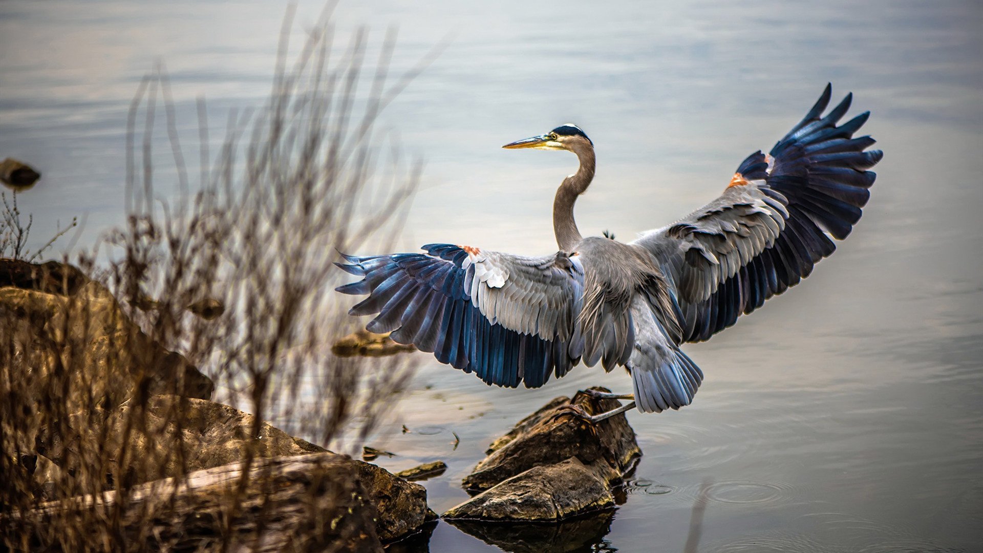 《英雄联盟夏季赛线下总决赛，众星云集热血对抗》，英雄联盟夏季总决赛在哪