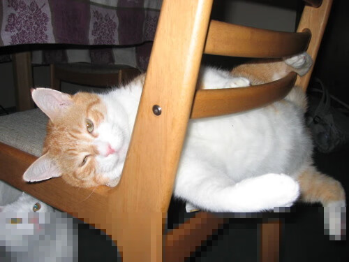 球迷自制“燃爆”视频:最感人、最激燃的比赛剪辑合集,球赛励志短视频