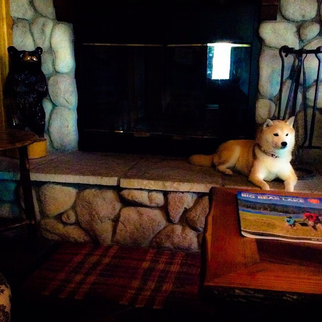 英超豪门豪掷千万,引入顶级中场助阵,英超七大传统豪门