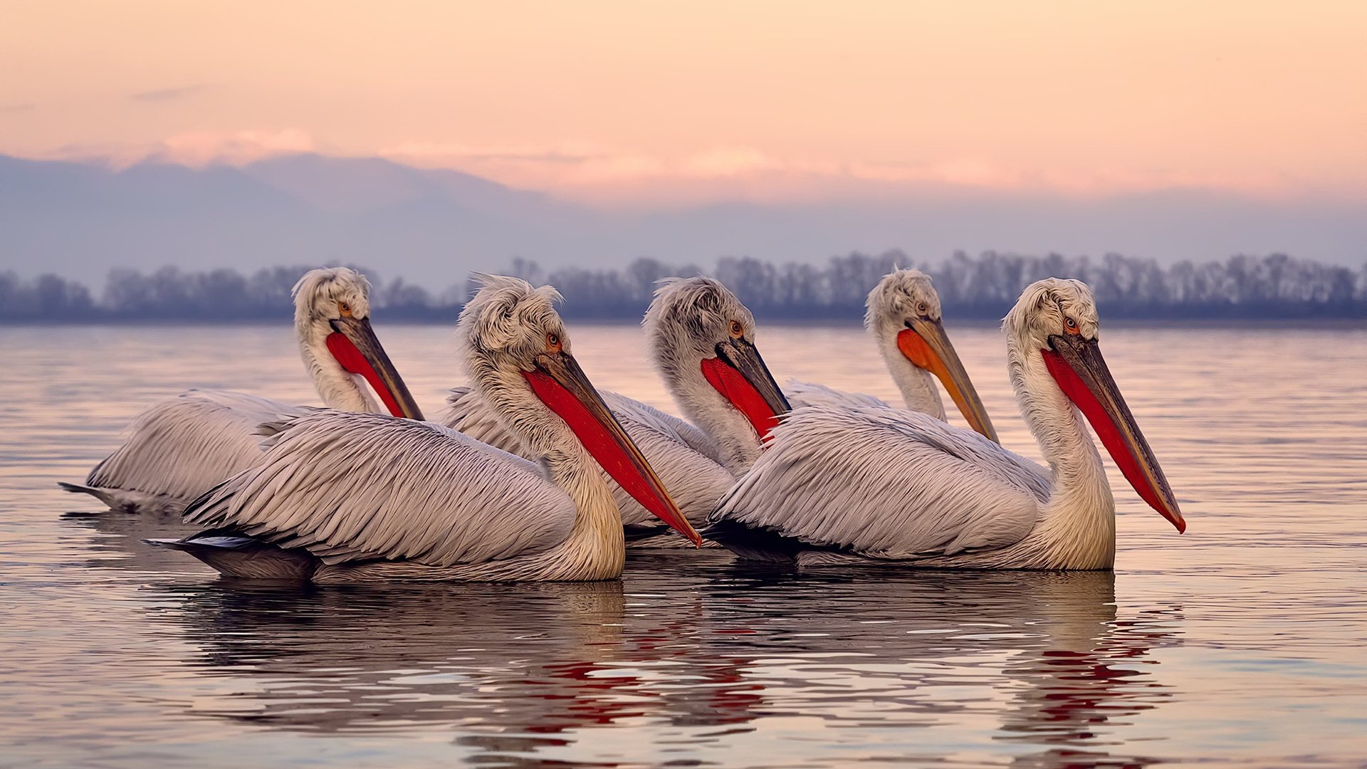 退役球员的“第二人生”：他们转战哪些行业？，第二人生退役后还能工作吗