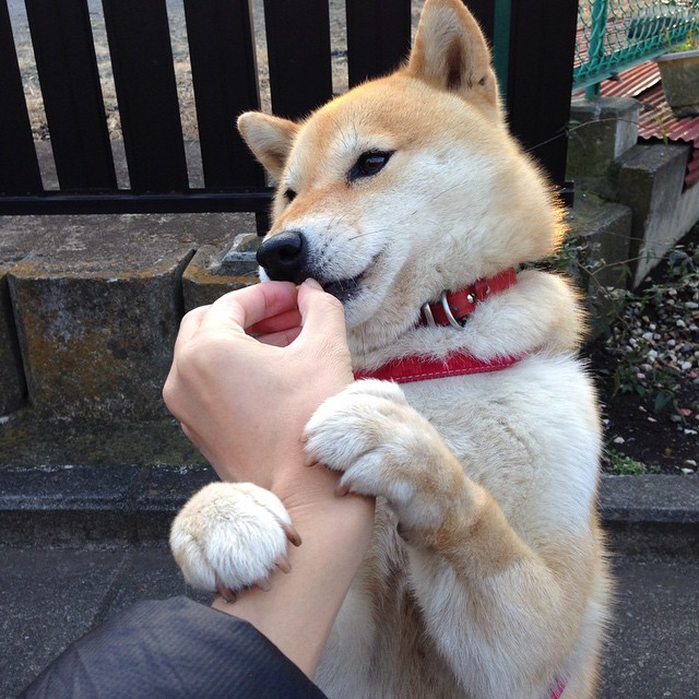 青年篮球联赛助推动力，培养未来篮球巨星，青年队篮球训练计划