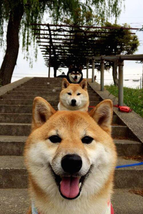 博卡青年冲击联赛冠军,博卡青年队主场在哪儿