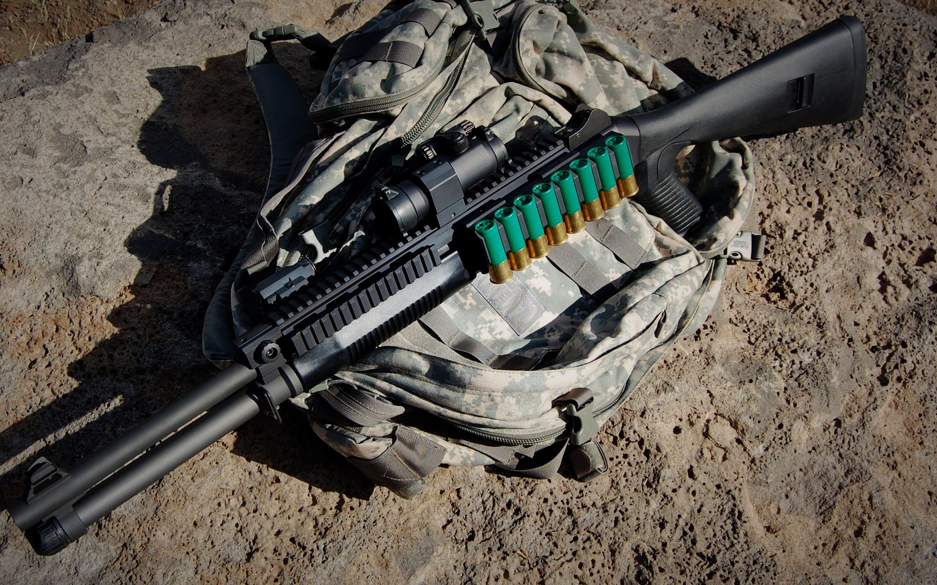 女足世界杯备战热烈,教练团队部署细致,女足世界杯队员