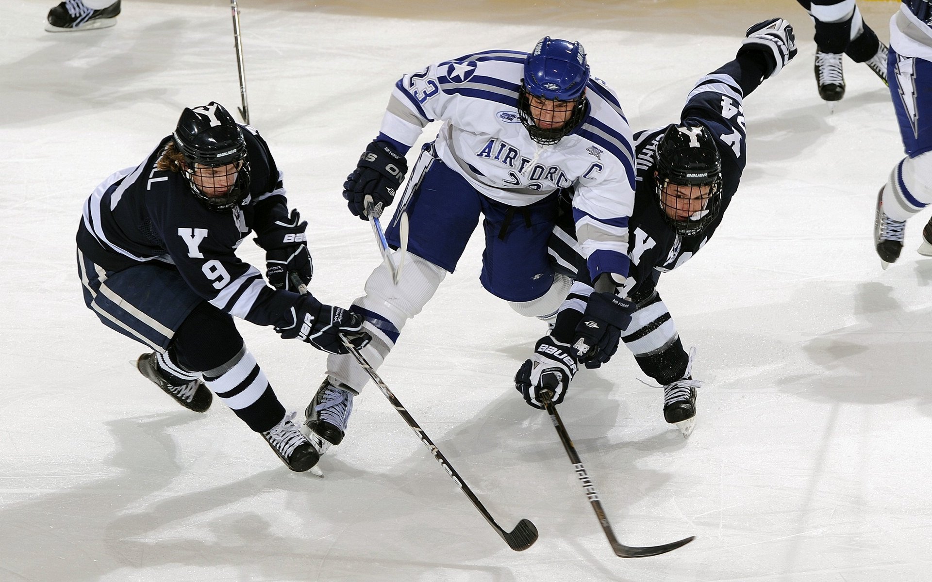 忠诚的胜利：球迷们见证了球队的胜利，最忠诚球迷
