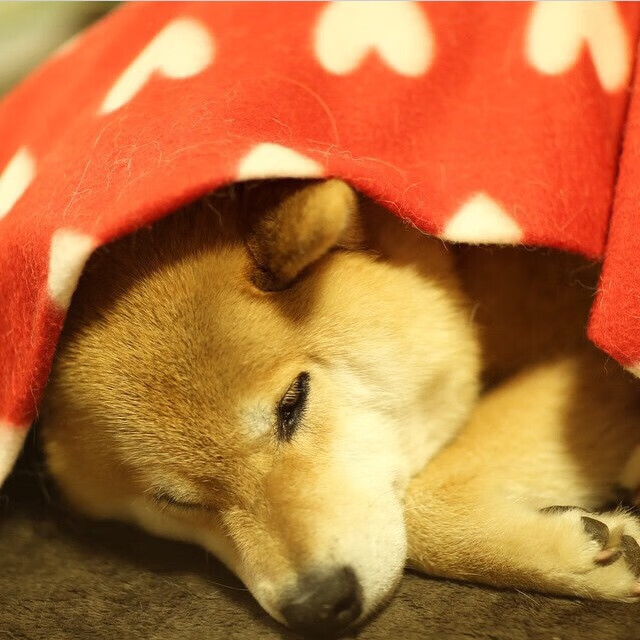 皇马客场逆转胜埃尔切,取得两连胜,皇马对埃尔切视频直播