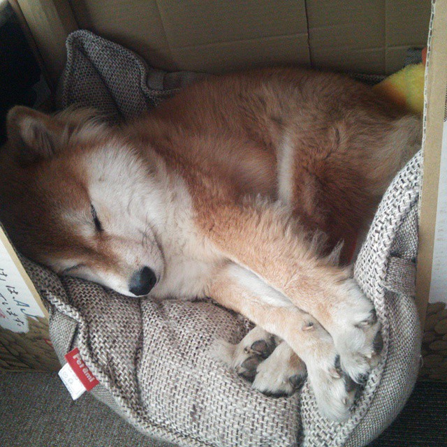 莱比锡主场逆转不来梅,维尔纳建功,莱比锡 中卫