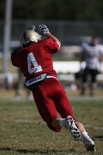 五大联赛争四阶段关键球员贡献值差异对比，五大联赛引援