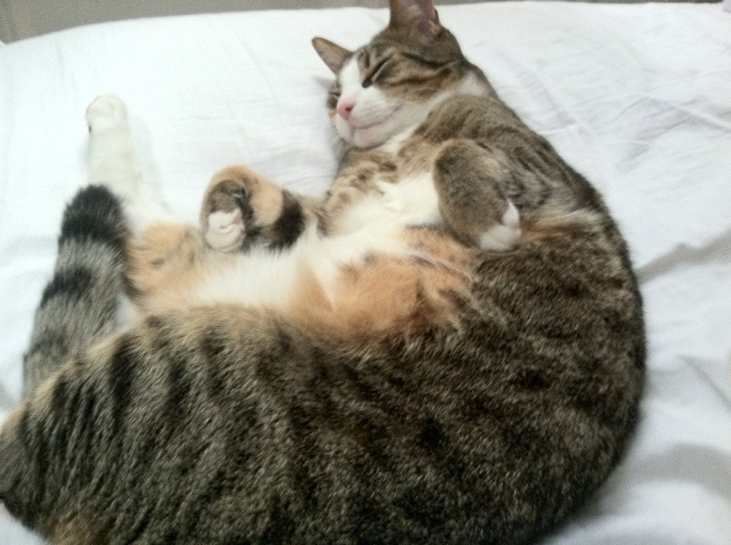 激情 国足爆冷 世界杯预选赛写下新篇章，国足2022世界杯预选赛比分