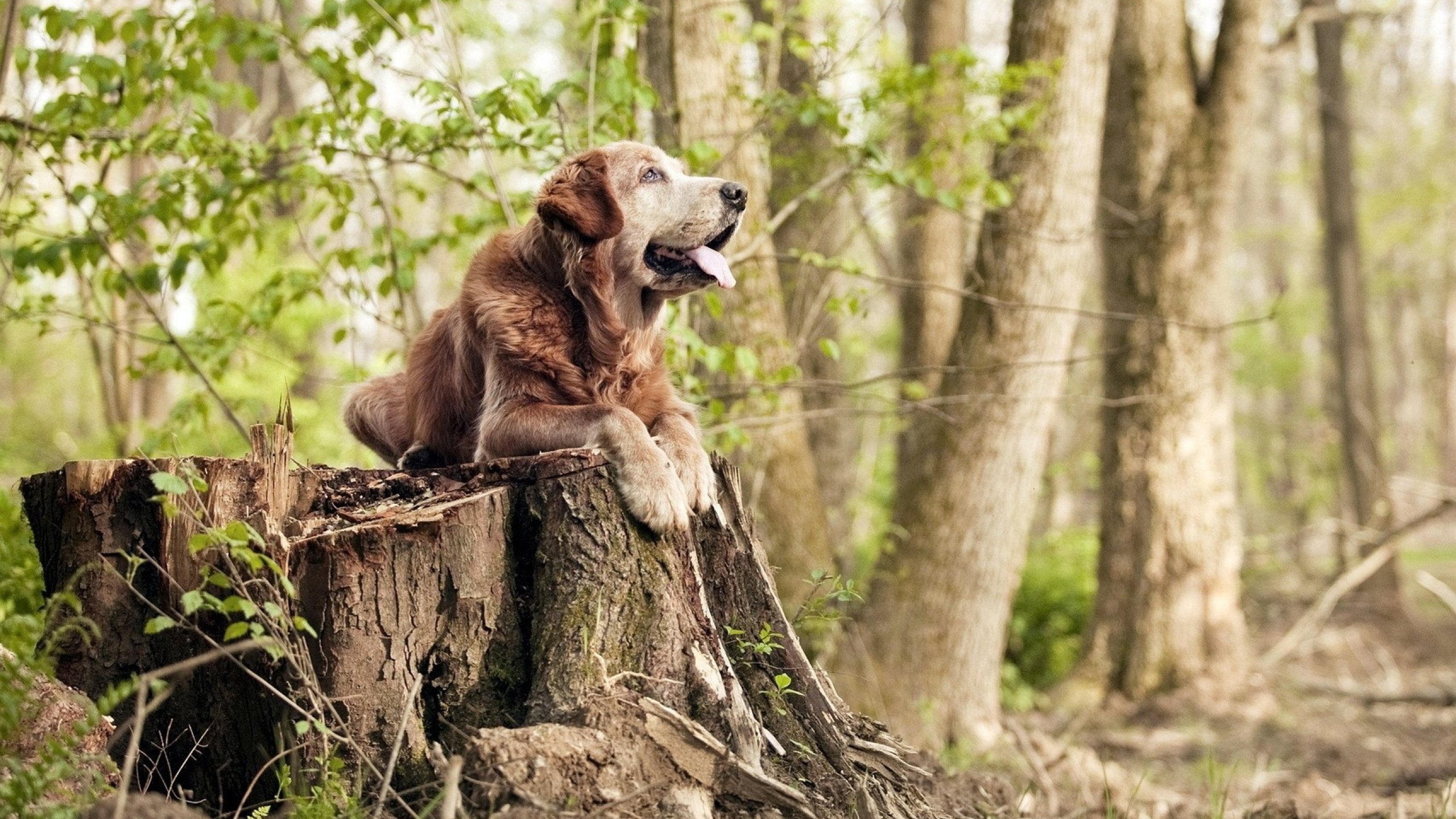 足球联赛赛前热身设计趋于多元，足球职业队赛前热身
