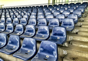 竞彩市场火热，足球预测分析工具受追捧，竞彩足球预测推荐